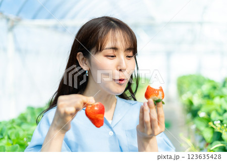 イチゴ狩りをする女性　いちご狩りをする女性 123635428
