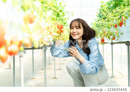 イチゴ狩りをする女性　いちご狩りをする女性 123635438