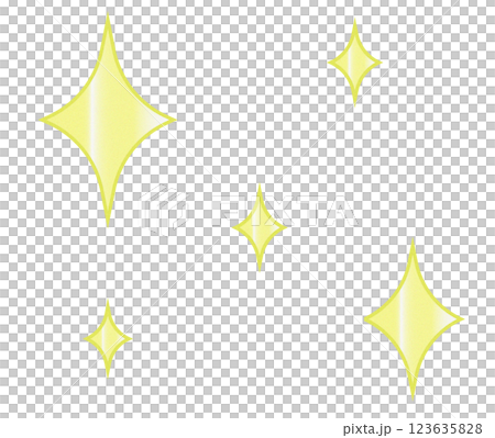 キラキラ　スター 123635828