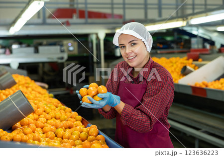 Young positive cheerful female worker in colorful uniform holds fresh ripe tangerines in her hands near the conveyor line. Young positive cheerful female worker in colorful uniform holds fresh ripe tangerines in her hands near the conveyor line. 123636223