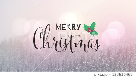 Merry christmas text banner and mistletoe icon against spots of light and winter landscape Merry christmas text banner and mistletoe icon against spots of light and winter landscape 123636469