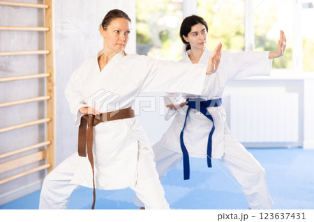 focusing on their hand punch training focusing on their hand punch training 123637431