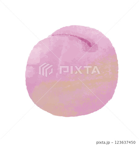 もものシンプルな手描きカラーイラスト もものシンプルな手描きカラーイラスト 123637450