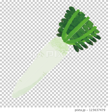 蘿蔔的簡單手繪彩色插圖 123637479