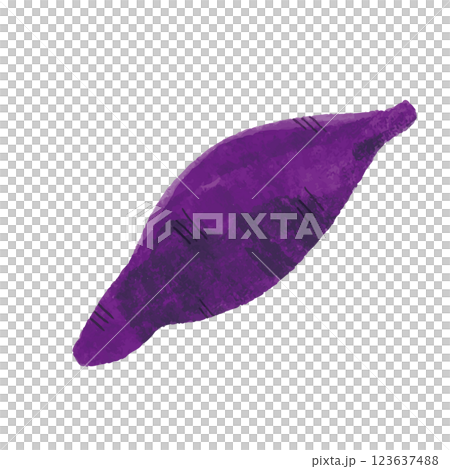 さつまいものシンプルな手描きカラーイラスト さつまいものシンプルな手描きカラーイラスト 123637488