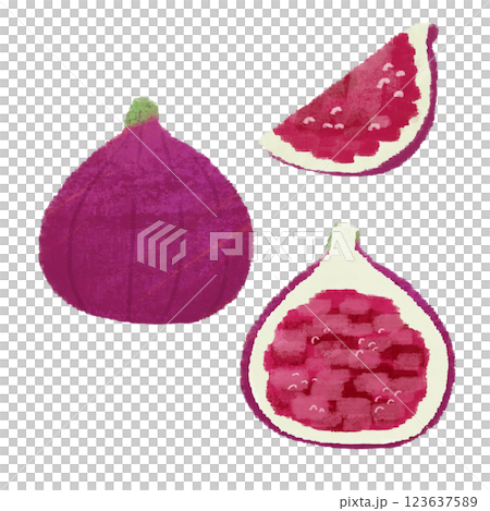 いちじくの様々な手描きカラーイラストセット いちじくの様々な手描きカラーイラストセット 123637589
