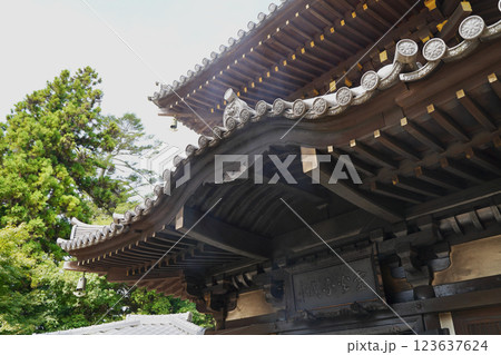 日本の厳島神社のある広島県宮島の山、弥山みせん 日本の厳島神社のある広島県宮島の山、弥山みせん 123637624