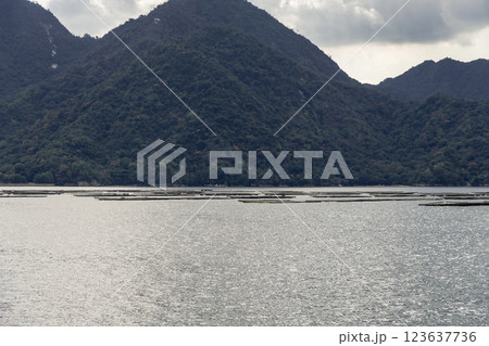 【広島宮島口 宮島口JR西日本宮島フェリーからの蠣いかだ】 【広島宮島口 宮島口JR西日本宮島フェリーからの蠣いかだ】 123637736