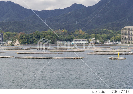 【広島宮島口　宮島口JR西日本宮島フェリーからの蠣いかだ】 123637738