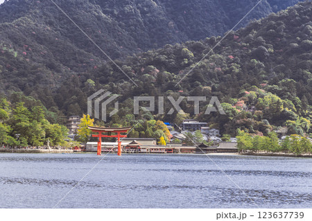【広島宮島　宮島口JR西日本宮島フェリーからの大鳥居】 123637739