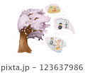 桜の木と猫とスタート 123637986