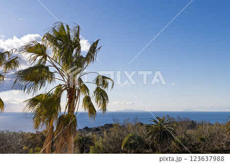 ヤシの木と水平線に見える島々 123637988