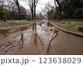 公園の道にできた水たまりに雨が降り注ぐ 123638029