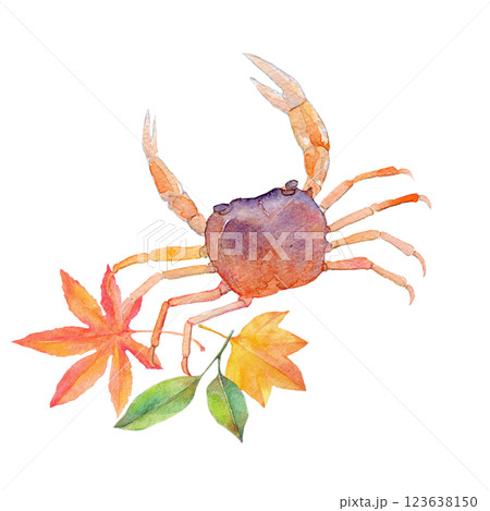 水彩イラスト　サワガニと紅葉 123638150