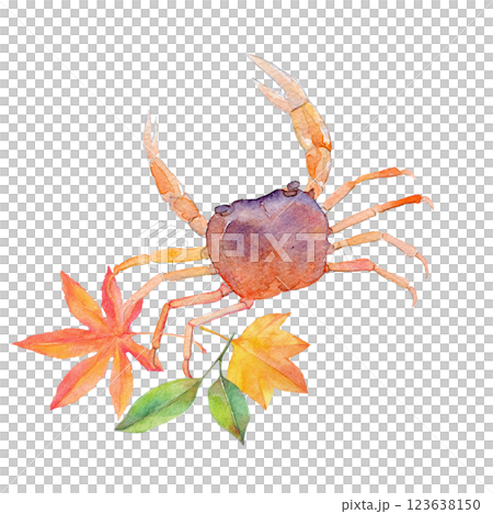 水彩イラスト　サワガニと紅葉 123638150