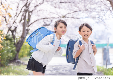 満開の桜とランドセルを背負った小学生 123638325