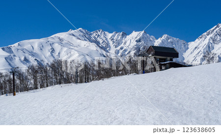 青空と雪の北アルプス　長野県白馬村 123638605