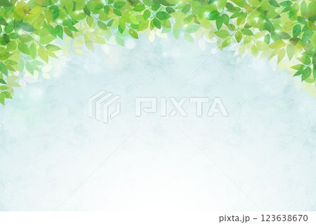 新緑・葉っぱの水彩画風イラスト背景 123638670