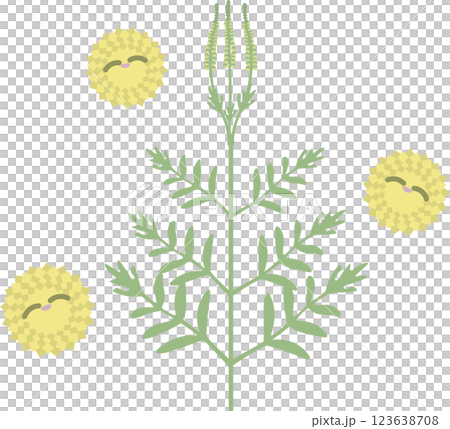 豚草和花粉的簡單可愛插圖 123638708
