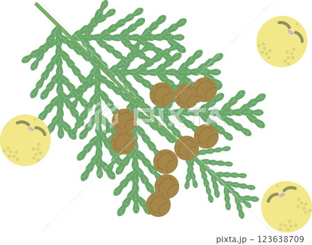 シンプルで可愛いヒノキと花粉のイラスト 123638709