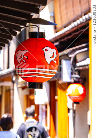 【京都風景】鴨川納涼床と先斗町の千鳥提灯 123639233