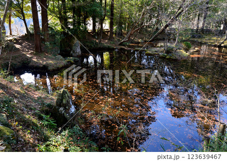 板敷山大覚寺 #28 板敷山大覚寺 #28 123639467