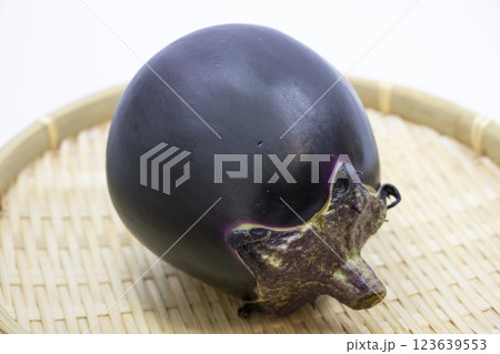 賀茂なす 賀茂なす 123639553