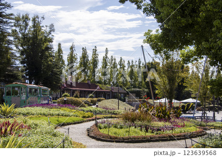 デンパーク 安城市 123639568