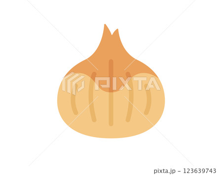 玉葱のアイコンのイラスト 123639743