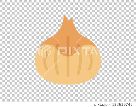 玉葱のアイコンのイラスト 123639743