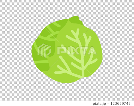 キャベツのアイコンのイラスト 123639745