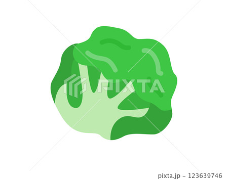 レタスのアイコンのイラスト 123639746