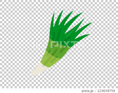 青ねぎのアイコンのイラスト 123639759