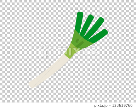 長ねぎのアイコンのイラスト 123639760