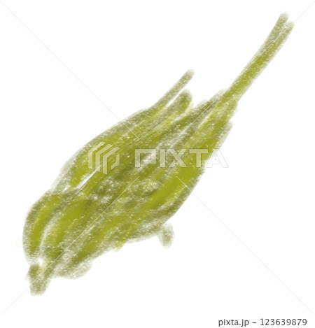 ついばむ鶯の手書きイラスト 123639879