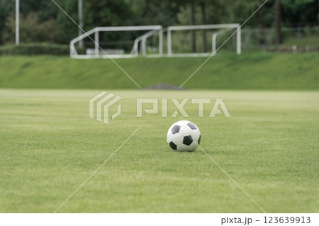 芝生とサッカーボール（サッカー場・ワールドカップ・部活・フットサル） 123639913