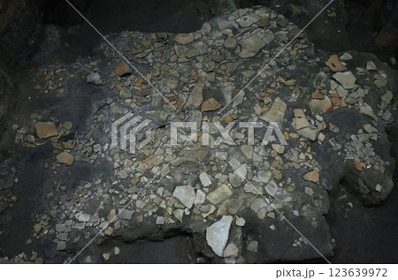 貝塚の展示風景_青森 123639972