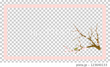 Realistic plum blossom and nightingale frame hand-drawn illustration 123640133