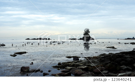 雨晴海岸　立山連峰 123640241