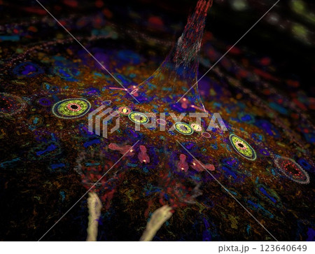 Imaginatory fractal abstract background Image Imaginatory fractal abstract background Image 123640649