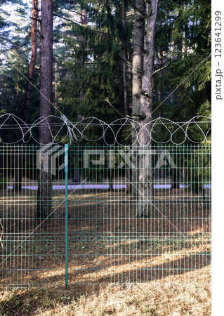 Barbed wire fence on border in forest  123641299