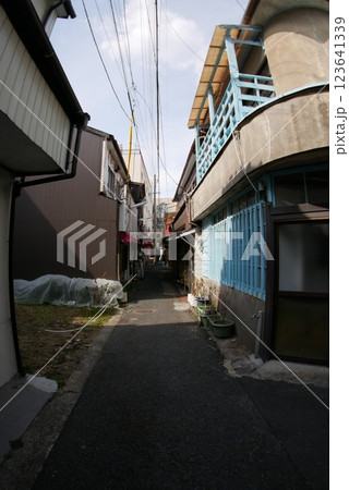 単焦点　広角18mmレンズでスナップ撮影　福岡県久留米市のスナップ写真 123641339