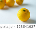 白背景に柚子 123641927
