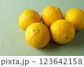 黄色い柚子の実 123642158