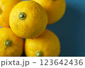 青バックに並べた柚子 123642436
