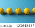 青バックに並べた柚子 123642437