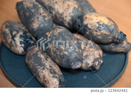 れんこん（蓮根） 123642481