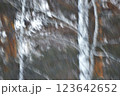 Abstract motion blur effect. Trees in the forest in the winter. Digital art. 123642652