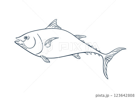 Bluefin tuna fish black white vector illustration. Sea fish coloring hand drawn. Albacore tuna painted linear art. Mackerel drawing in graphic outline. Design element for package, label, sign board. 123642808