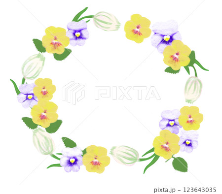 春の花、ビオラとチューリップのフレーム 123643035